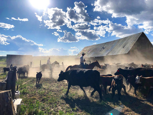 Opera Lafayette to Perform THE BLACKSMITH to Live Audience on Colorado Ranch Image