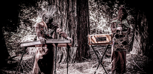 Botanist Reemerges With New Track 'Bacteria' Image