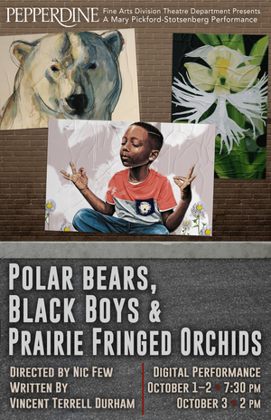 Pepperdine Fine Arts Division Presents POLAR BEARS, BLACK BOYS & PRAIRIE FRINGED ORCHIDS 
