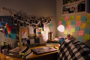 BWW Blog: Surviving Zoom School Image