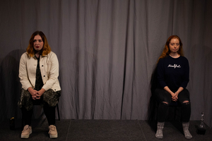 Review: WE WERE HAVING A PERFECTLY NICE TIME, Omnibus Theatre Image