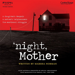 Interview: Centre Stage Artistic Director Laura Nicholas Discusses Virtual Production of 'NIGHT, MOTHER Image