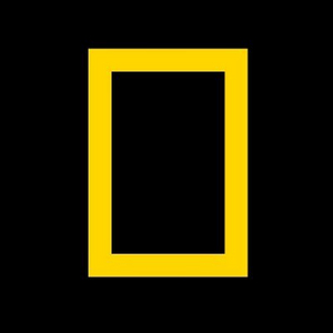 National Geographic Announces New Premiere Date for Docuseries TRAFFICKED  Image