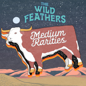 LISTEN: The Wild Feathers Release New Single 'Fire' Image