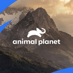 NORTH WOODS LAW Returns to Animal Planet Oct. 11 Image