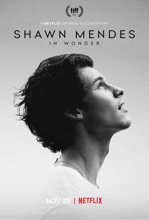 Shawn Mendes Documentary IN WONDER Comes to Netflix Nov. 23 