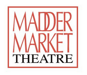 Maddermarket Theatre Will Close Until Next Summer  Image