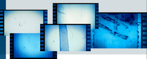 Anita Hill-Led Hollywood Commission Releases New Report on Workplace Bullying Image