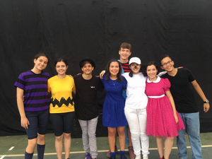 BWW Blog: Surviving a Non-Theatre Curriculum - Becoming the Hamilton of Your School Image