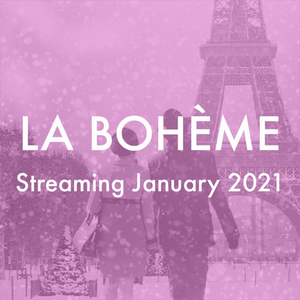2020-2021 SEASON FULL OF HISTORIC FIRSTS AT OPERA THEATRE OF SAINT LOUIS Image