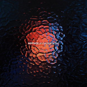 Wayside Drops New Single 'Cherophobia' Image