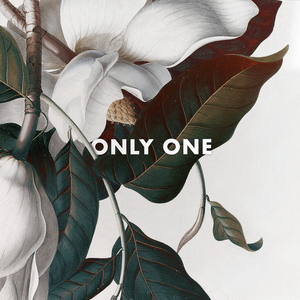 KRANE Crafts a World-Class Soundscape on 'Only One'  Image