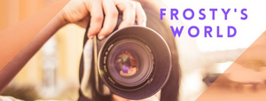 BWW Blog: Local Arts Organizations Pivot to New Models - Frosty's World #2 Image