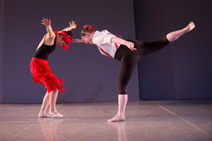 North Shore Civic Ballet Needs Your Treasures and Volunteers for Annual Online Holiday Auction Image