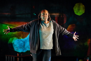 Rattlestick, ALL ARTS, and 7 U.S. Theaters Unite to Premiere Dael Orlandersmith's UNTIL THE FLOOD Image