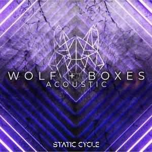 Static Cycle Shares Singles 'Wolf' and 'Boxes' Reimagined Image