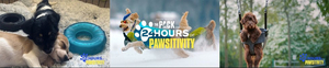 Amazon's THE PACK Presents 24 Hours of Pawsitivity 