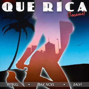 VIDEO: Pitbull, Sak Noel & Salvi Release 'Que Rica (Tocame)' Image