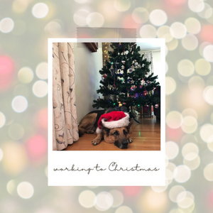 BWW Blog: Working to Christmas Image