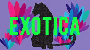 Purple Disco Machine Releases New Single 'Exotica' Image