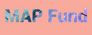The MAP Fund Announces New Format for 2021 Grant Cycle Image
