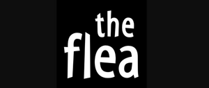 Flea Theater Eliminates Programs For Emerging Actors, Directors, and Writers 