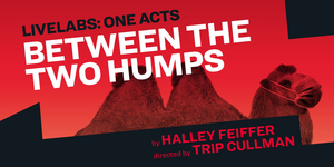Peppermint, Portia, Noah Robbins, and Kara Young Will Star in MCC Theater's BETWEEN THE TWO HUMPS 