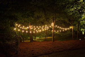 Arbour Festival Announced in Snowy Valley Image