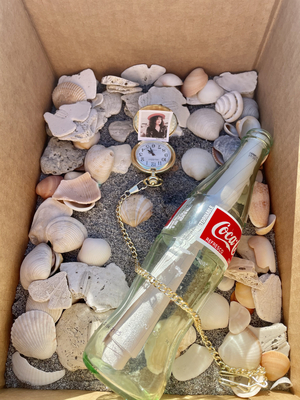 BWW Blog: I Sent Tom Hanks a Letter in a Bottle and Here's What Happened  Image