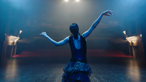 BWW Feature: ONLINE VIRTUAL OPERA TOUR at Home Computer Screens Image
