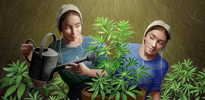 New Canadian Musical GROW to Release Music Video for 'Grow' Image