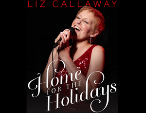 Review: LIZ CALLAWAY PERFORMS VIRTUAL HOLIDAY CONCERT IN YOUR HOME from The Straz Center  Image