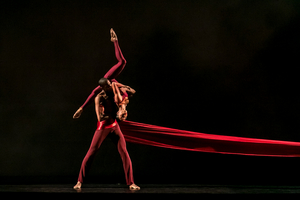 DALLAS BLACK DANCE THEATRE DBDT: ENCORE! Makes Dallas Landscape its Stage Image