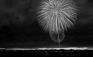 Royal Danish Orchestra Rings in the New Year with A Concert! Image