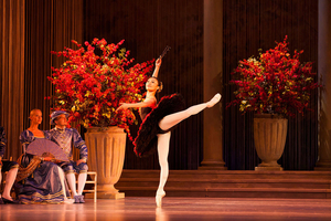 Teatr Wielki - Opera Narodowa Presents Online Ballet Gala Image