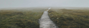 The Scottish Gallery Opens Online Exhibition CLOSER TO HOME Image