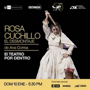 Gran Teatro Nacional Postpones ROSA CUCHILLO, EL DESMONTAJE Image