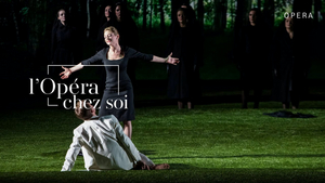 Opéra National de Paris Will Stream DIE ZAUBERFLOTE Image