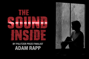 Singapore Repertory Theatre to Present THE SOUND INSIDE Image