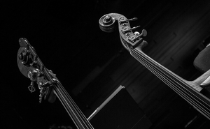 Det KGL. Teater Presents a Concert with The Royal Opera Academy Image