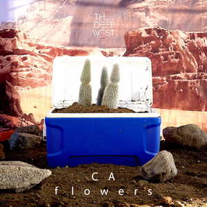 The Deep West Debut EP 'California Flowers' Out Today, Feb. 5 Image