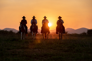 WILD WEST ADVENTURE PARTY Comes to  Adelaide Fringe  Image