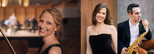 Australian Romantic & Classical Orchestra to ILLUMINATE Concert Halls in February Performances Image
