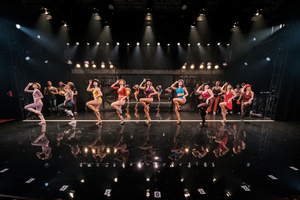 Darlinghurst Theatre Company Announces Redefined Plans For 2021 Image