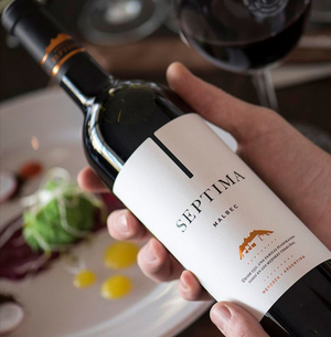 SEPTIMA MALBEC 2018 from Argentina Image