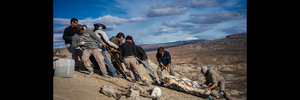 TOArts Presents NAT GEO VIRTUAL - REIMAGINING DINOSAURS Image