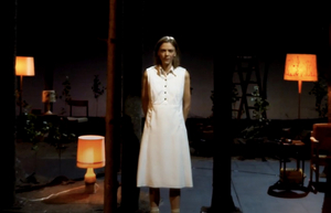 National Theatret Presents THE WILD DUCK Image