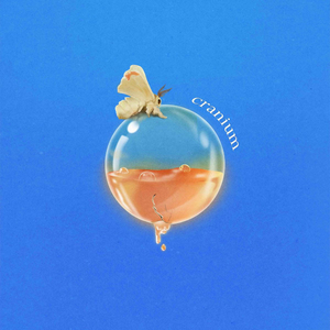 Slothrust Share New Single & Video for 'Cranium' Image
