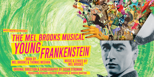 Review: Hayes Theatre Reopens With The Fabulously Absurd YOUNG FRANKENSTEIN. Image