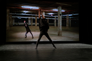 Dance Theatre Of Harlem Presents FIREBIRD Image